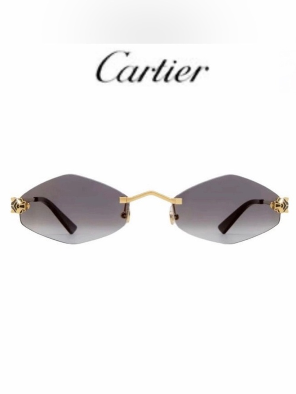 CARTIER Panthère de Cartier Geometric Sunglasses, Rimless Sunglasses $1295